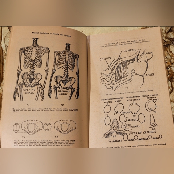 VINTAGE "PICTURE STORIES OF THE SEX LIFE OF MAN AND WOMAN" 1946 SOFTCOVER BOOK - Picture 7 of 8